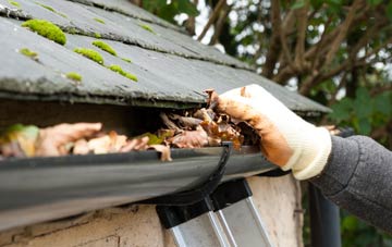 gutter cleaning Lythbank, Shropshire